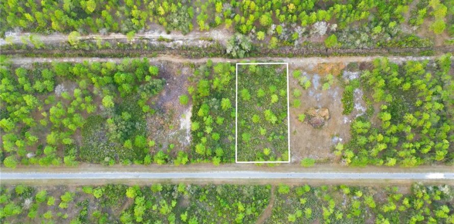 Land in Indian lake estates, Florida № 2162398