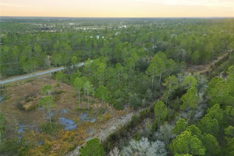 Land in Indian lake estates, Florida № 2162398 - photo 26