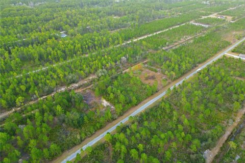 Land in Indian lake estates, Florida № 2162398 - photo 10