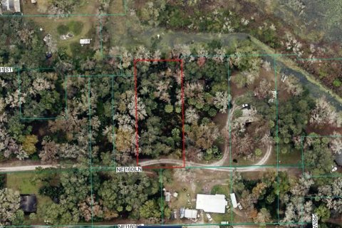 Land in Citra, Florida № 2159833