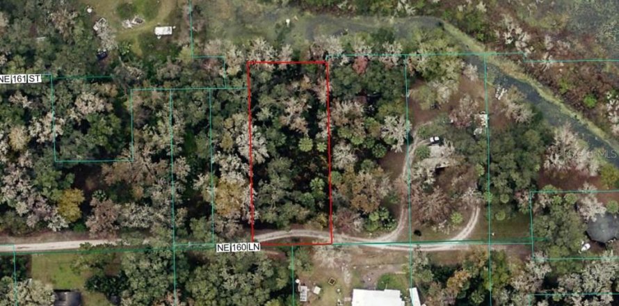 Land in Citra, Florida № 2159833