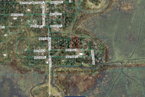 Land in Citra, Florida № 2159833 - photo 3