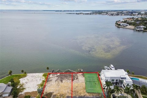 Land in Tampa, Florida № 2125177