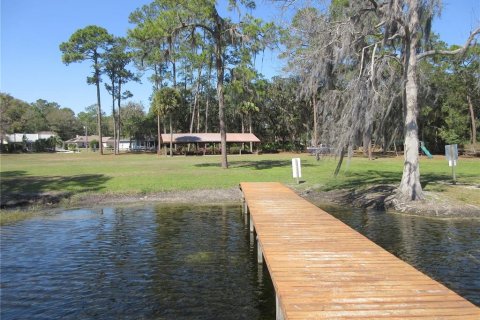 Land in Silver Springs Shores, Florida № 2394393 - photo 7