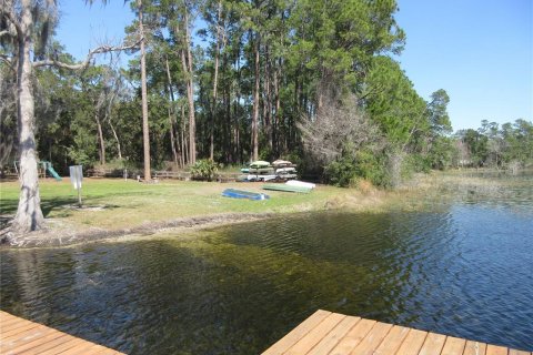 Land in Silver Springs Shores, Florida № 2394393 - photo 6