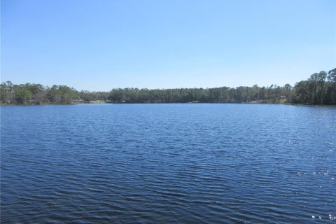 Land in Silver Springs Shores, Florida № 2394393 - photo 3