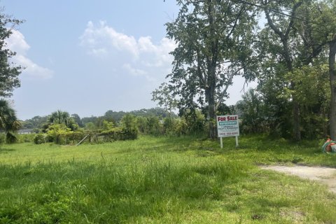 Land in Jacksonville, Florida № 769522 - photo 1