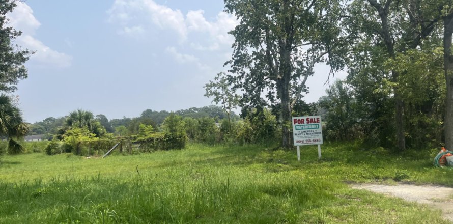 Land in Jacksonville, Florida № 769522