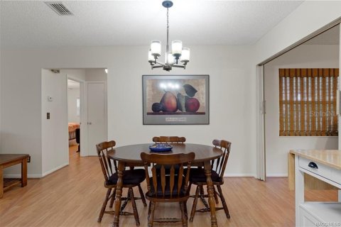 Villa ou maison à vendre à Inverness, Floride: 2 chambres, 128.02 m2 № 2306225 - photo 11