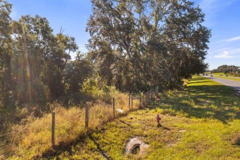 Land in Leesburg, Florida № 2104268 - photo 4
