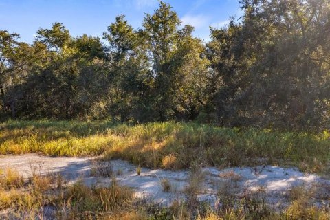 Land in Leesburg, Florida № 2104268 - photo 7