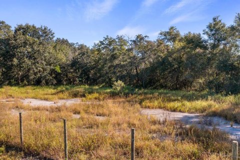 Land in Leesburg, Florida № 2104268 - photo 6