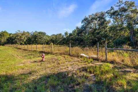 Land in Leesburg, Florida № 2104268 - photo 3