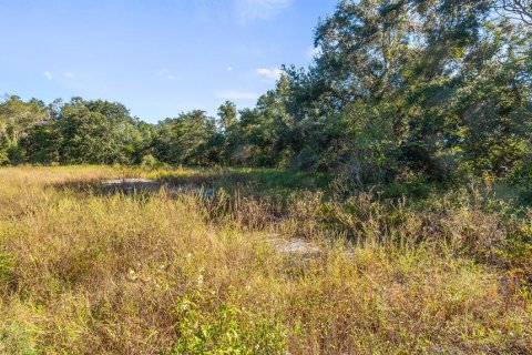 Land in Leesburg, Florida № 2104268 - photo 8
