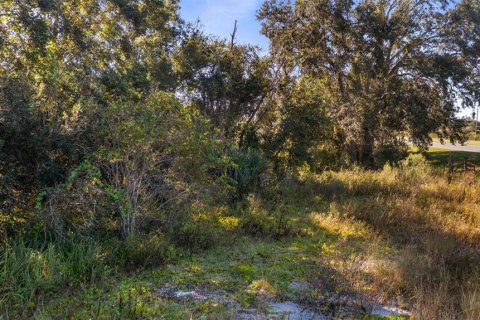 Land in Leesburg, Florida № 2104268 - photo 11