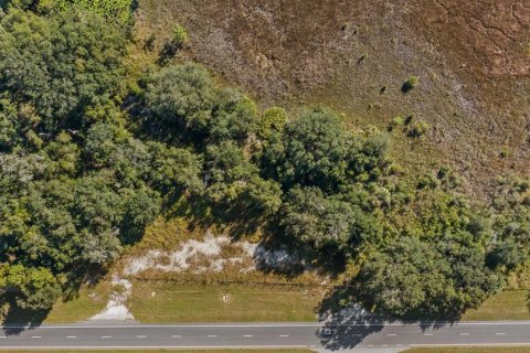 Land in Leesburg, Florida № 2104268 - photo 12