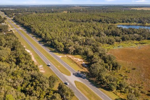 Land in Leesburg, Florida № 2104268 - photo 16