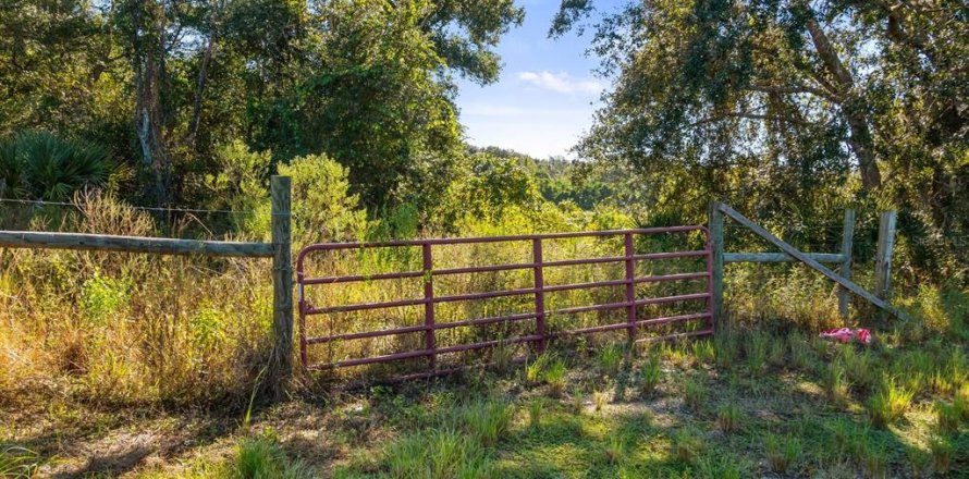 Land in Leesburg, Florida № 2104268