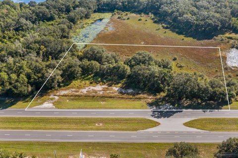 Land in Leesburg, Florida № 2104268 - photo 15