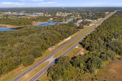 Land in Leesburg, Florida № 2104268 - photo 18