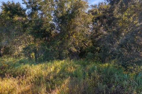 Land in Leesburg, Florida № 2104268 - photo 10