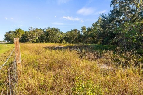 Land in Leesburg, Florida № 2104268 - photo 5