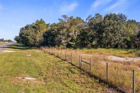 Land in Leesburg, Florida № 2104268 - photo 2
