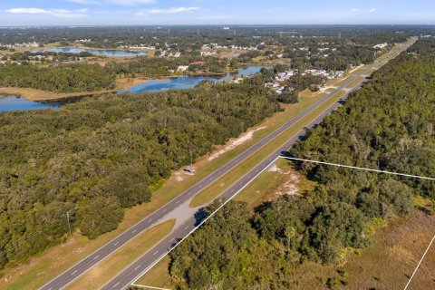 Land in Leesburg, Florida № 2104268 - photo 19