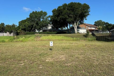 Land in Clermont, Florida № 1801412 - photo 1