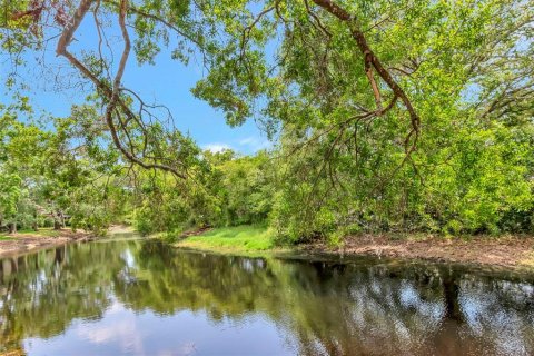 Condo in Palm Harbor, Florida, 2 bedrooms  № 1687118 - photo 30