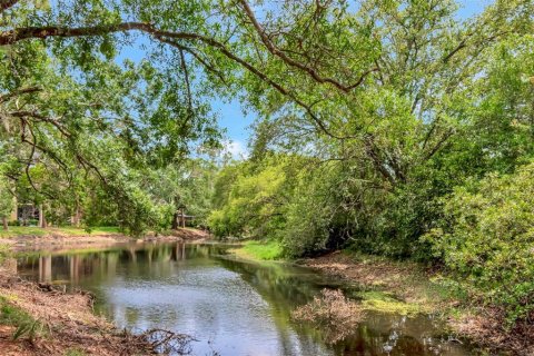 Condo in Palm Harbor, Florida, 2 bedrooms  № 1687118 - photo 28