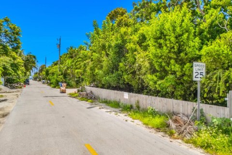 Land in Key Largo, Florida № 2021411 - photo 7