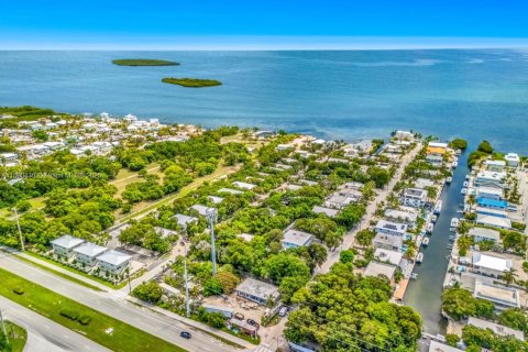 Land in Key Largo, Florida № 2021411 - photo 4