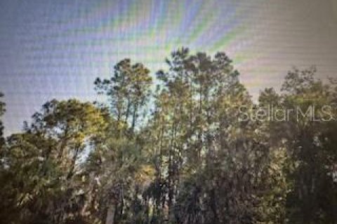 Land in Punta Gorda, Florida № 2161217
