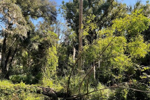 Terreno en venta en Fruitland Park, Florida № 1446258 - foto 5