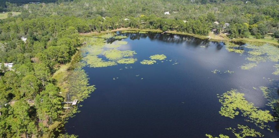 Land in DeLand, Florida № 2159838