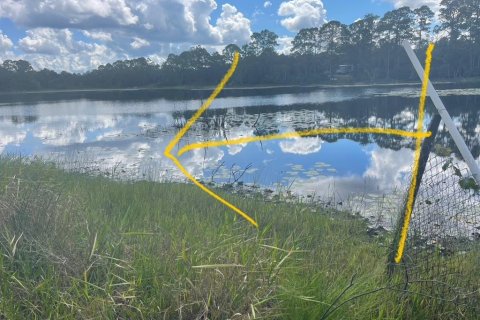 Land in DeLand, Florida № 2159838 - photo 6