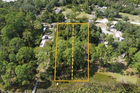 Land in DeLand, Florida № 2159838 - photo 4