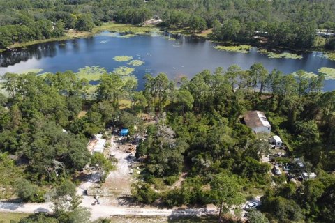 Land in DeLand, Florida № 2159838 - photo 5