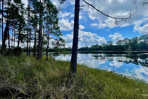Land in DeLand, Florida № 2159838 - photo 8