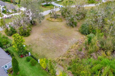 Terreno en venta en Lutz, Florida № 1526096 - foto 7