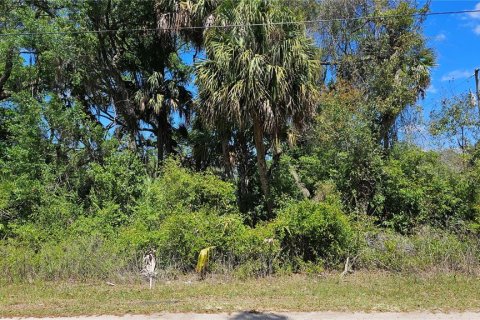 Land in Crystal River, Florida № 2163448 - photo 2