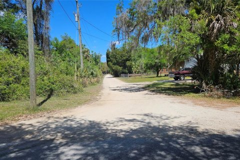 Land in Crystal River, Florida № 2163448 - photo 5