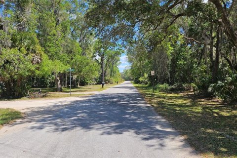 Land in Crystal River, Florida № 2163448 - photo 4