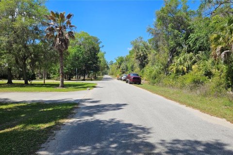 Land in Crystal River, Florida № 2163448 - photo 3