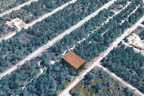 Land in Lake Placid, Florida № 2323295