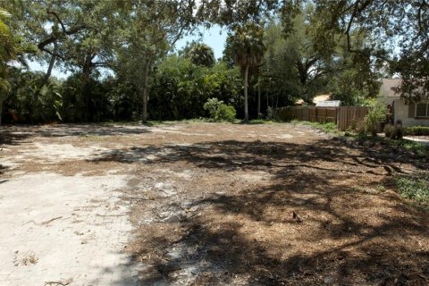 Land in Tampa, Florida № 2102068 - photo 3