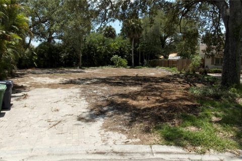 Land in Tampa, Florida № 2102068 - photo 2