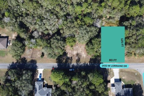 Land in Citrus Springs, Florida № 2228994