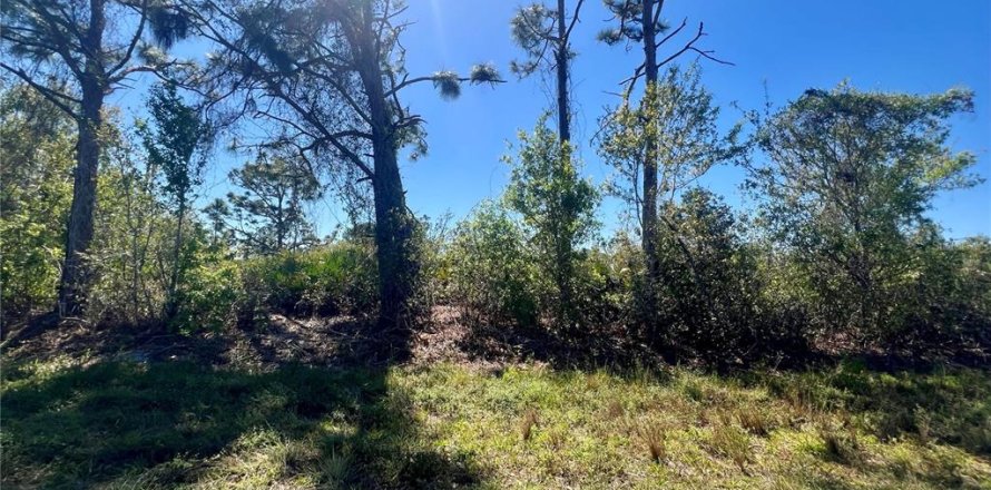 Terrain à Port Charlotte, Floride № 2237516